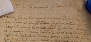 Revista d'armes, 1639